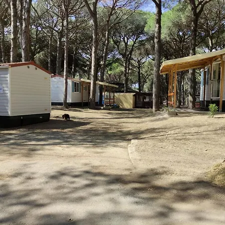 Dom wakacyjny Mipro Mobilhome 5 *