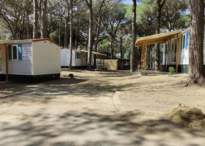 Dom wakacyjny Mipro Mobilhome 5 *