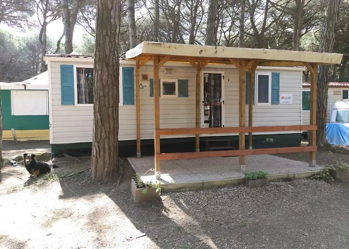 Dom wakacyjny Mipro Mobilhome 5 *