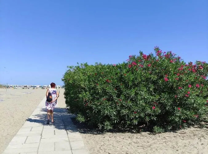 Mipro Mobilhome 5 Casa vacanze Lido di Spina