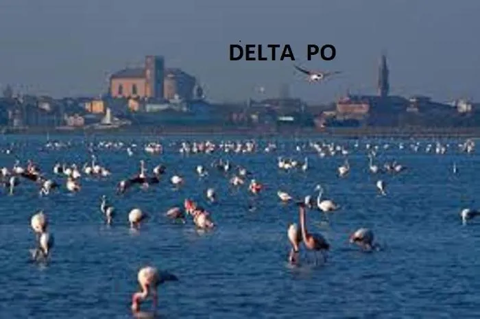 Mipro Mobilhome 5 * Lido di Spina