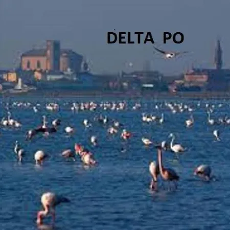 Mipro Mobilhome 5 * Lido di Spina