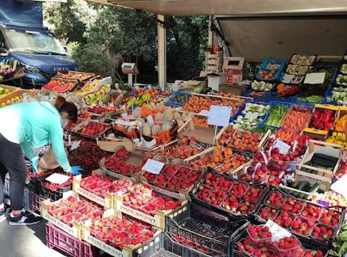 Mipro Mobilhome 5 بيت للعطل